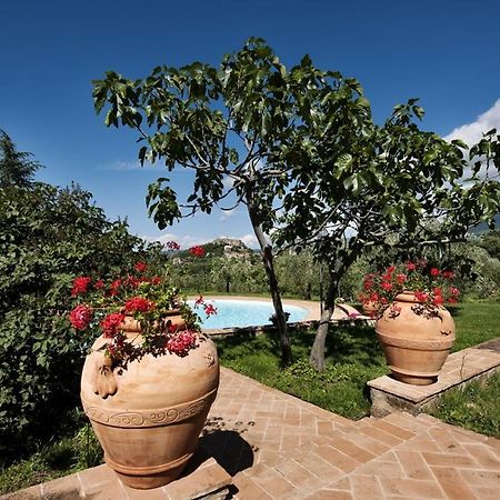 La Dragona Apartment Castel del Piano  Exterior foto
